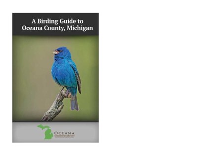 Birding in Oceana County