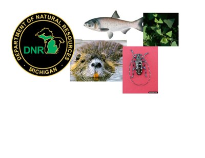 Invasive Species of Michigan Invasive Species of Michigan